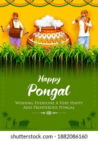 illustration of Happy Pongal Holiday Harvest Festival of Tamil Nadu South India greeting background