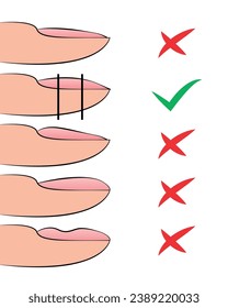 Illustration with hardware manicure technology. Correct formation of the nail shape and errors. Educational material on vector