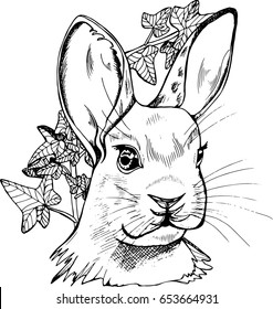 Illustration of a hare with expressive eyes.