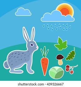 Illustration with a hare or rabbit in spring and summer. Carrot, cabbage, mushroom, berries, oak leaf, marble leaf, sun, clouds, rain.