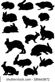illustration with hare silhouette collection isolated on white background