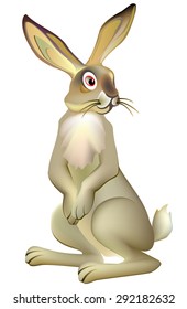 Illustration of hare, vector cartoon image