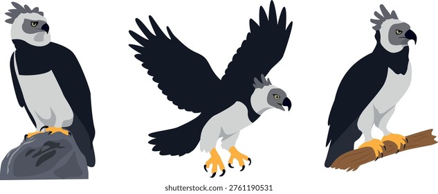 Illustration of a Harpy Eagle in Different poses, isolated