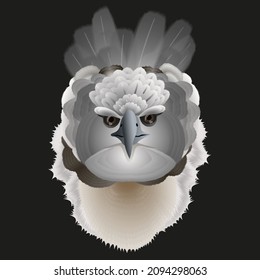 illustration of a harpy eagle head on a black background