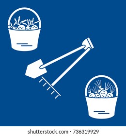 Illustration of harvest: shovel, rake and two buckets of carrots and beets. Design for banner, poster or print.