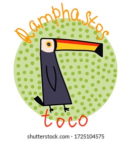 The illustration has a toucan in doodle style.  The picture shows the Latin name for the giant toucan, billed toucan. Vector.