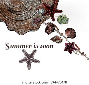 Illustration with hat and marine shells star fishes summer is soon vacation theme