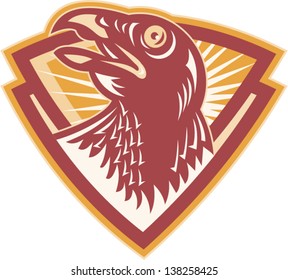 Illustration of a hawk falcon head looking up set inside shield on isolated white background done in retro style.