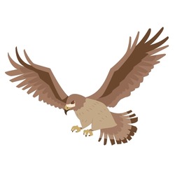 Illustration Of Hawk Flying With Wings Spread, Vector Illustration