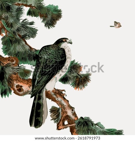 Illustration of a hawk perched on a pine branch. The hawk is detailed, with a small bird flying nearby. Nature scene with hawk, pine, and bird. Vintage bird illustration, animal vector.