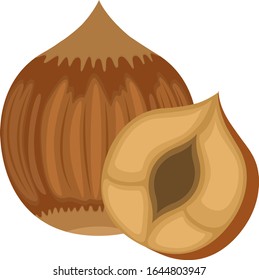 Illustration hazelnut nut, healthy snack.