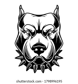 Illustration of head of angry pitbull in vintage monochrome style. Design element for logo, emblem, sign, poster, card, banner. Vector illustration