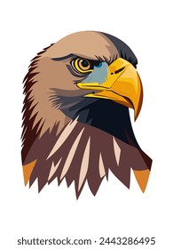 Illustration of the head of the eagle