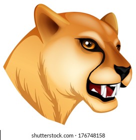 Illustration of a head of a panther on a white background