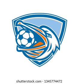 Illustration of a head of a pelican bird with soccer or football ball inside mouth looking up to the side set inside shield crest done in retro style. 