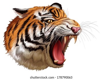 Illustration of a head of a roaring tiger on a white background