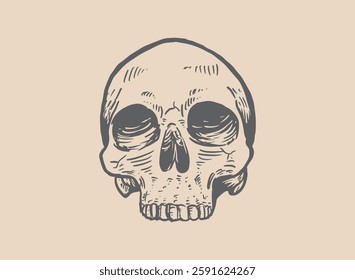 Illustration of an Head Skull Engraving