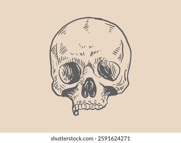 Illustration of an Head Skull Engraving
