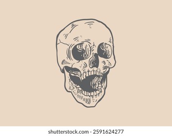 Illustration of an Head Skull Engraving