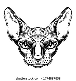 Illustration of head of Sphynx cat breed in vintage monochrome style. Design element for logo, emblem, sign, poster, card, banner. Vector illustration