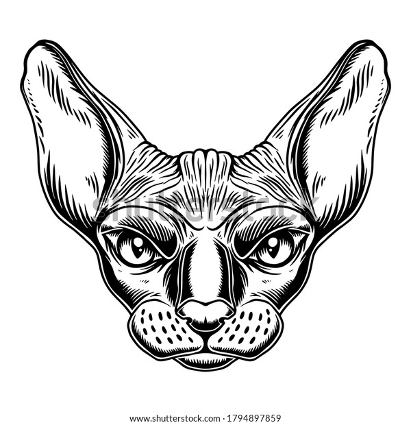 Illustration Head Sphynx Cat Breed Vintage Stock Vector (Royalty Free ...