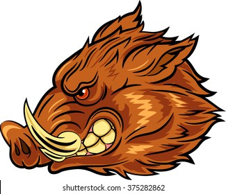 Illustration of head wild boar mascot