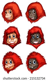 Illustration of the heads of chimpanzees on a white background