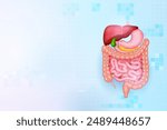 illustration of Healthcare and Medical education background of Human Digestive System for Science Biology study