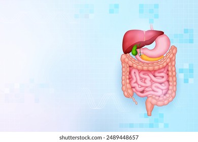 Ilustración de los antecedentes de salud y educación médica del Sistema Digestivo Humano para el estudio de Biología de la Ciencia