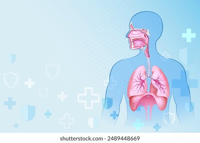 Ilustración de los antecedentes de salud y educación médica del sistema respiratorio humano para el estudio de biología de la Ciencia