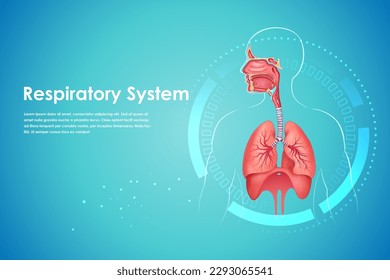 illustration of Healthcare and Medical education drawing chart of Human Respiratory System for Science Biology study