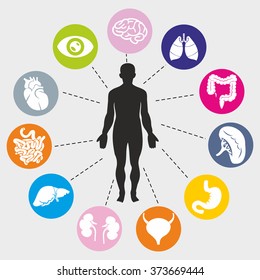 illustration of Healthcare and Medical Infographics with human anatomy