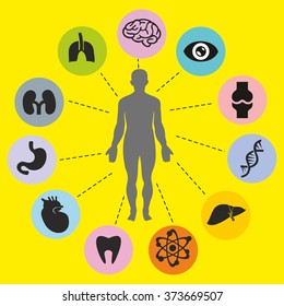 illustration of Healthcare and Medical Infographics with human anatomy