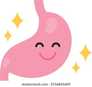 Illustration of a healthy and beautiful stomach