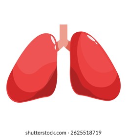 Illustration of healthy human lungs, essential for respiration and oxygen exchange