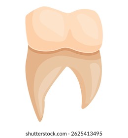 Illustration of a healthy human tooth, highlighting its crown and root structure, essential for chewing and overall oral health