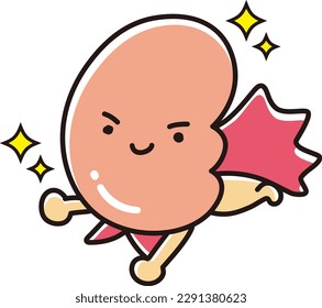 Illustration of a healthy kidney (character)