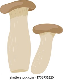 Illustration of a healthy king oyster mushroom.