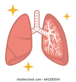 Illustration of Healthy lungs