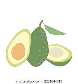 Illustration of healthy and nutritious avocado vegetable whole and cut with and without pit in minimalistic flat style, vector isolated on white background.