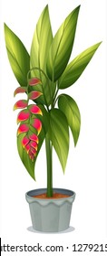 Illustration of a healthy plant on a white background