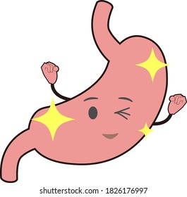 Illustration of a healthy and shiny stomach