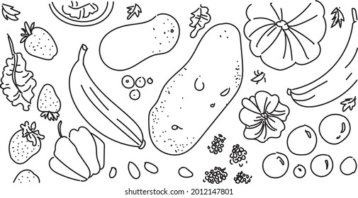 illustration of healthy vegetables and fruits in line art vector black and white