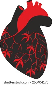 illustration of heart
