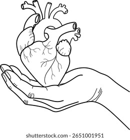 illustration of a heart held by the hand