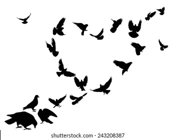 illustration with heart from pigeon silhouettes isolated on white background