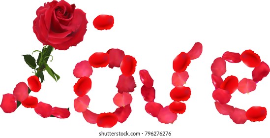 illustration with heart symbol from rose petals isolated on white background