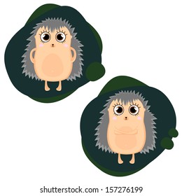 illustration of a hedgehog