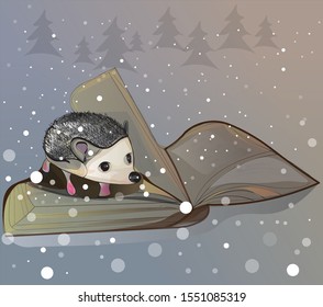 illustration of a hedgehog on a book on a Christmas background