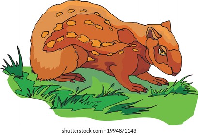 illustration of a hedgehog on the grass